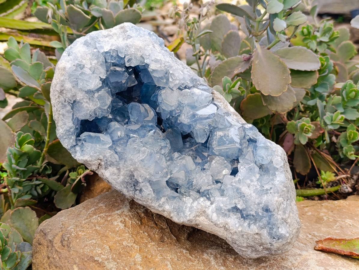 Natural Celestite Geode Specimen x 1 From Sakoany, Madagascar - Toprock Gemstones and Minerals 