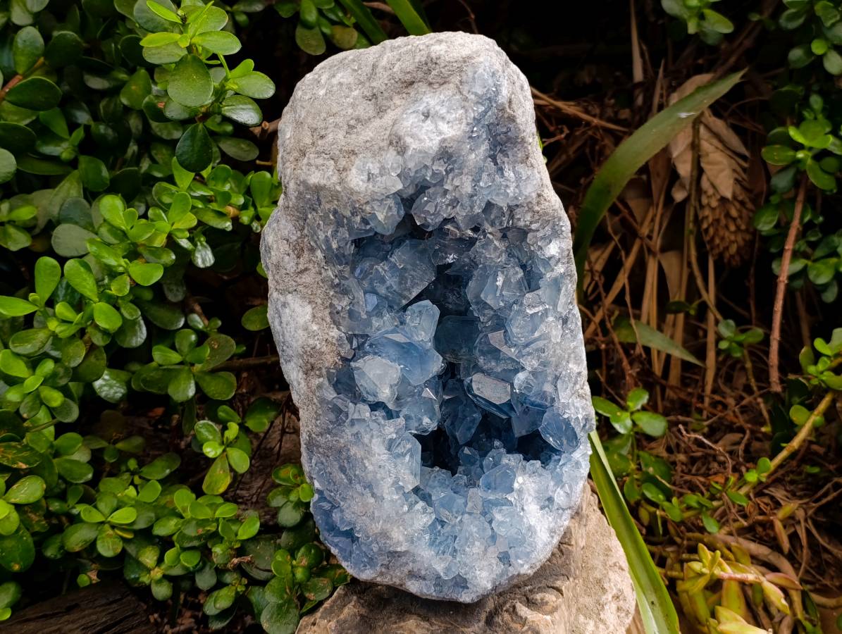Natural Celestite Geode Specimen x 1 From Sakoany, Madagascar - Toprock Gemstones and Minerals 