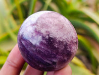 Polished Lepidolite with Pink Rubellite Palm Stones x 20 From Ambatondrazaka, Madagascar