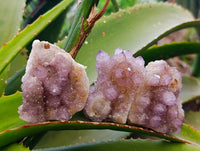 Natural Amethyst Spirit Quartz Clusters x 12 From South Africa