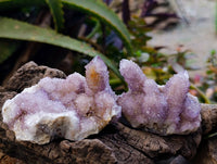 Natural Amethyst Spirit Quartz Clusters x 12 From South Africa