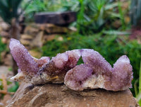 Natural Amethyst Spirit Quartz Clusters x 12 From South Africa