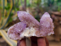 Natural Amethyst Spirit Quartz Clusters x 12 From South Africa