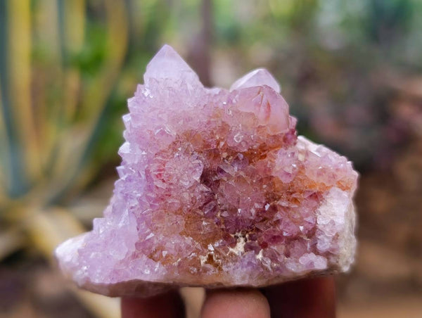 Natural Amethyst Spirit Quartz Clusters x 12 From South Africa