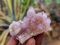 Natural Amethyst Spirit Quartz Clusters x 12 From South Africa