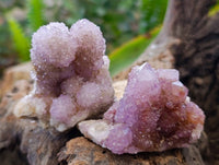 Natural Amethyst Spirit Quartz Clusters x 12 From South Africa