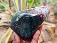 Polished Bloodstone Standing Free Forms x 3 From Swaziland