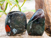 Polished Bloodstone Standing Free Forms x 3 From Swaziland