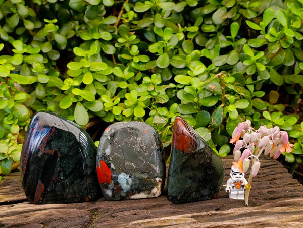 Polished Bloodstone Standing Free Forms x 3 From Swaziland