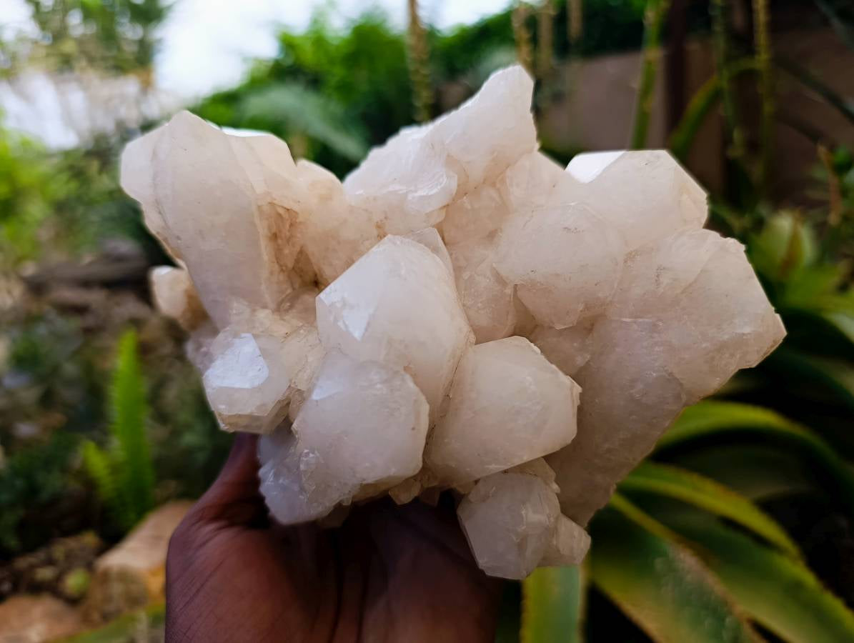 Natural Candle Quartz Clusters x 2 From Madagascar - Toprock Gemstones and Minerals 