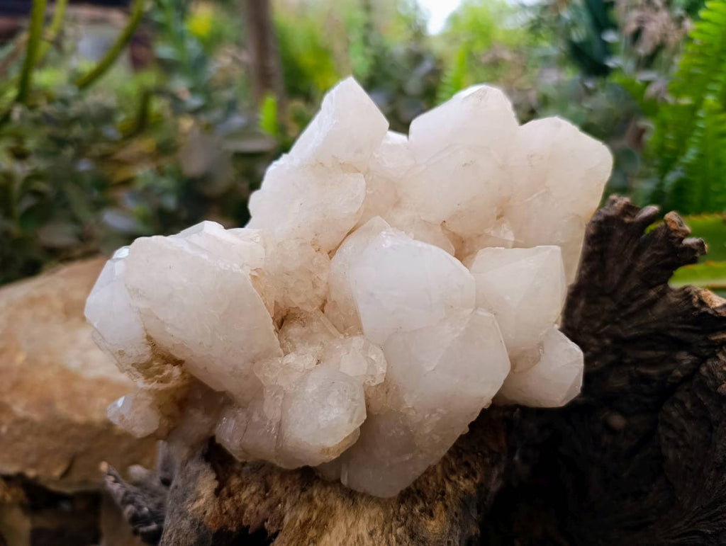 Natural Candle Quartz Clusters x 2 From Madagascar - Toprock Gemstones and Minerals 