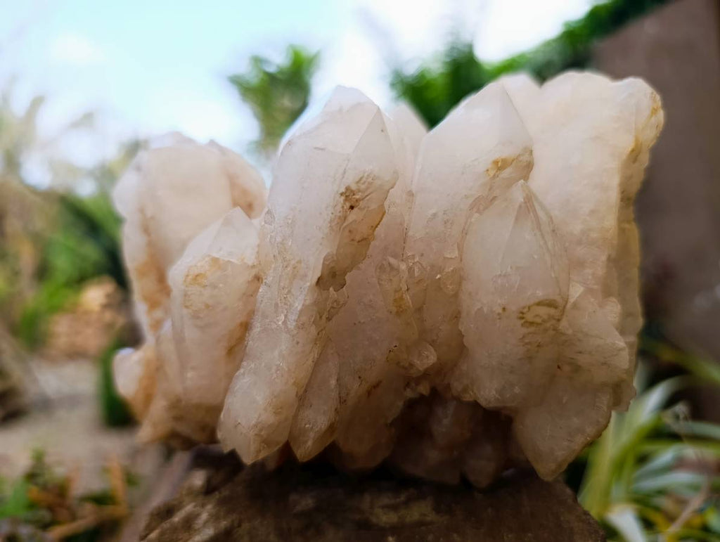 Natural Candle Quartz Clusters x 2 From Madagascar - Toprock Gemstones and Minerals 