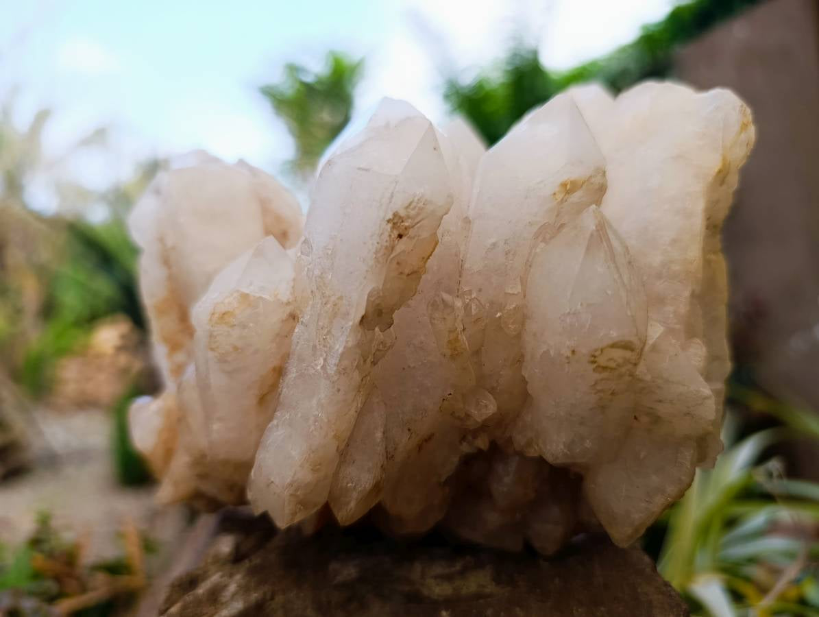 Natural Candle Quartz Clusters x 2 From Madagascar - Toprock Gemstones and Minerals 