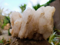 Natural Candle Quartz Clusters x 2 From Madagascar