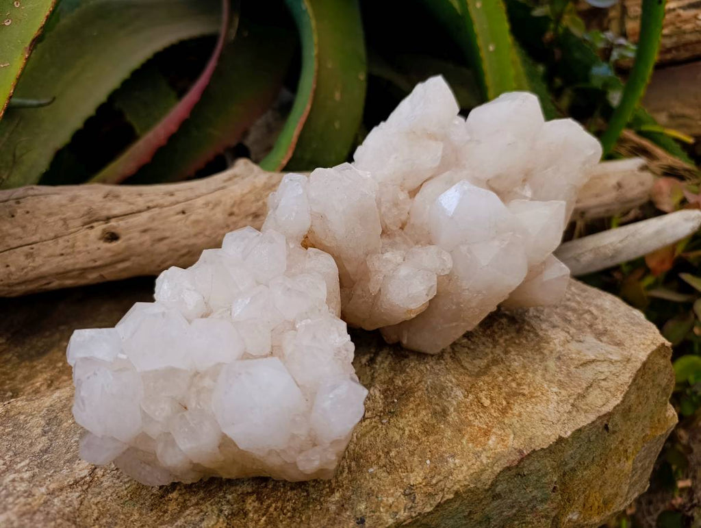 Natural Candle Quartz Clusters x 2 From Madagascar - Toprock Gemstones and Minerals 