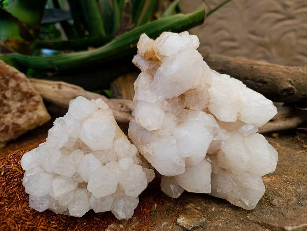 Natural Candle Quartz Clusters x 2 From Madagascar - Toprock Gemstones and Minerals 