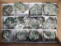 Natural Emerald Mica 'Mutokolite' Specimens x 12 From Mutoko, Zimbabwe