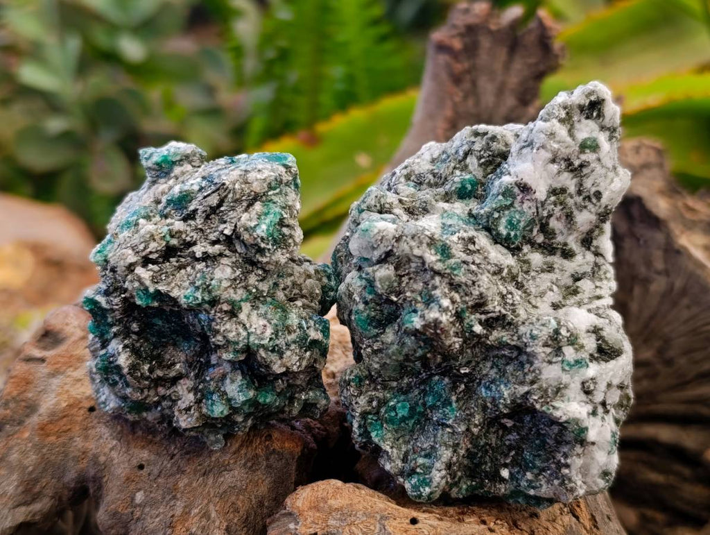 Natural Emerald Mica 'Mutokolite' Specimens x 12 From Mutoko, Zimbabwe - Toprock Gemstones and Minerals 