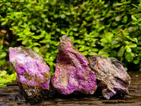 Natural Stichtite Specimens x 12 From Barberton, South Africa