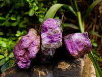 Natural Stichtite Specimens x 12 From Barberton, South Africa