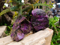 Natural Stichtite Specimens x 12 From Barberton, South Africa