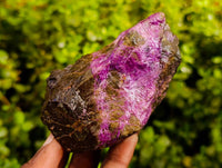 Natural Stichtite Specimens x 12 From Barberton, South Africa