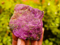 Natural Stichtite Specimens x 12 From Barberton, South Africa