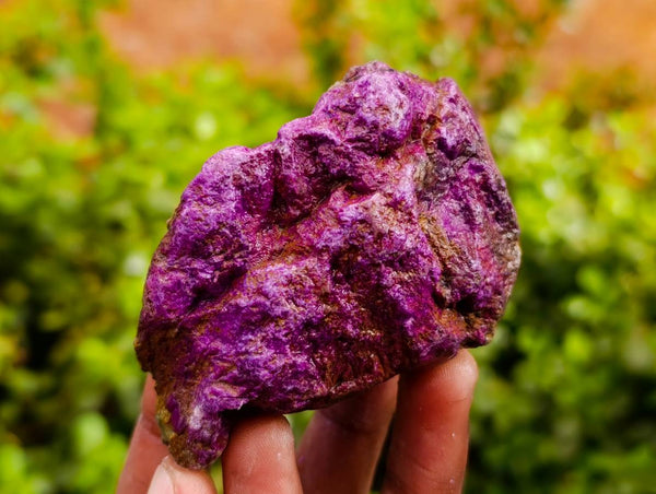 Natural Stichtite Specimens x 12 From Barberton, South Africa