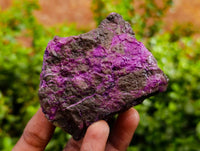 Natural Stichtite Specimens x 12 From Barberton, South Africa