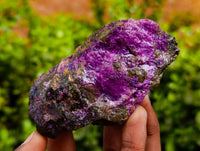 Natural Stichtite Specimens x 12 From Barberton, South Africa