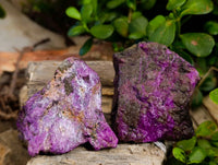Natural Stichtite Specimens x 12 From Barberton, South Africa