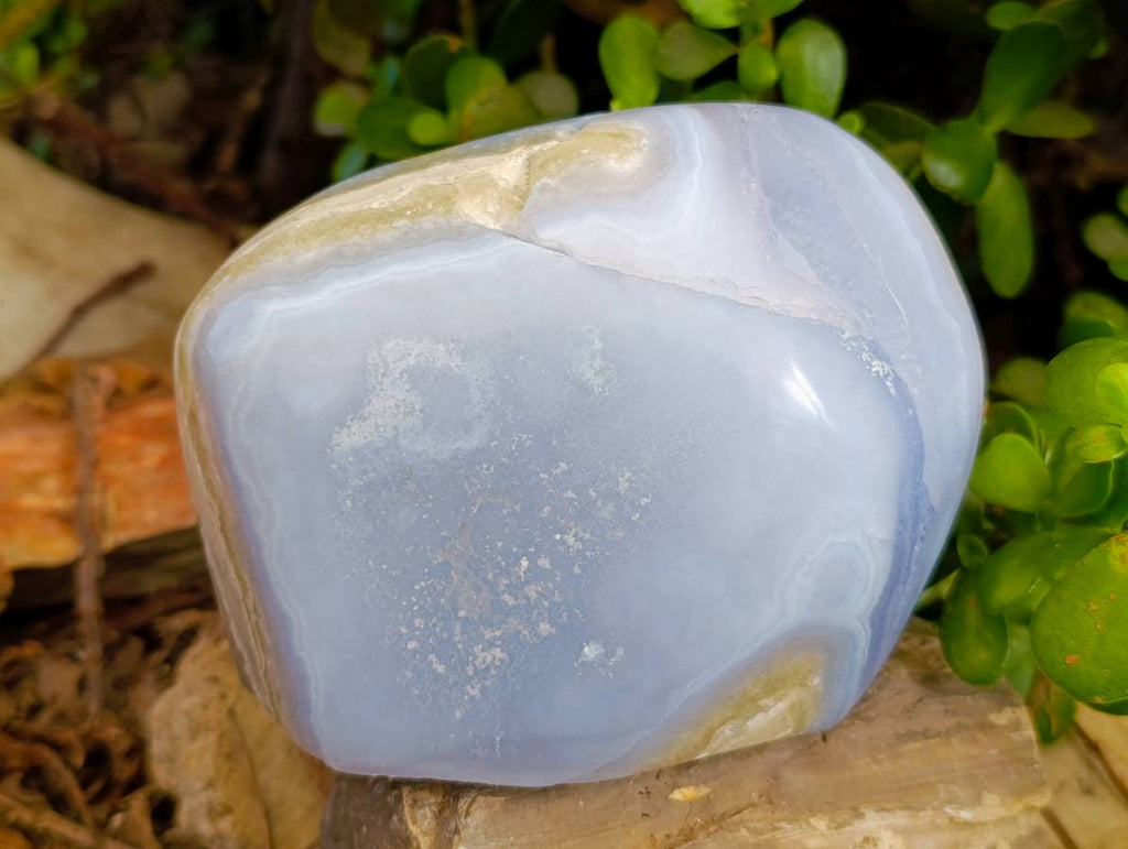 Polished Blue Lace Agate Standing Free Form x 1 From Malawi - Toprock Gemstones and Minerals 