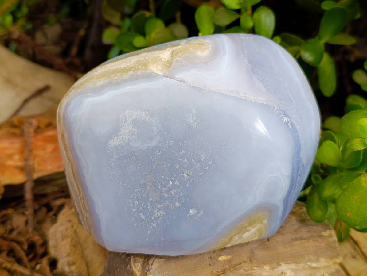 Polished Blue Lace Agate Standing Free Form x 1 From Malawi - Toprock Gemstones and Minerals 