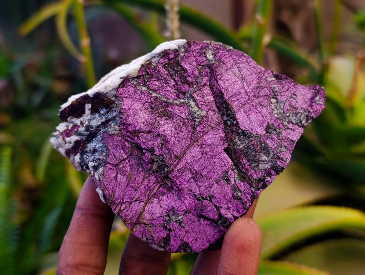 Natural Metallic Purpurite Specimens x 6 From Erongo, Namibia - Toprock Gemstones and Minerals 