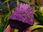 Natural Metallic Purpurite Specimens x 6 From Erongo, Namibia - Toprock Gemstones and Minerals 