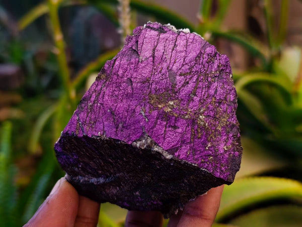 Natural Metallic Purpurite Specimens x 6 From Erongo, Namibia
