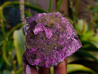 Natural Metallic Purpurite Specimens x 6 From Erongo, Namibia