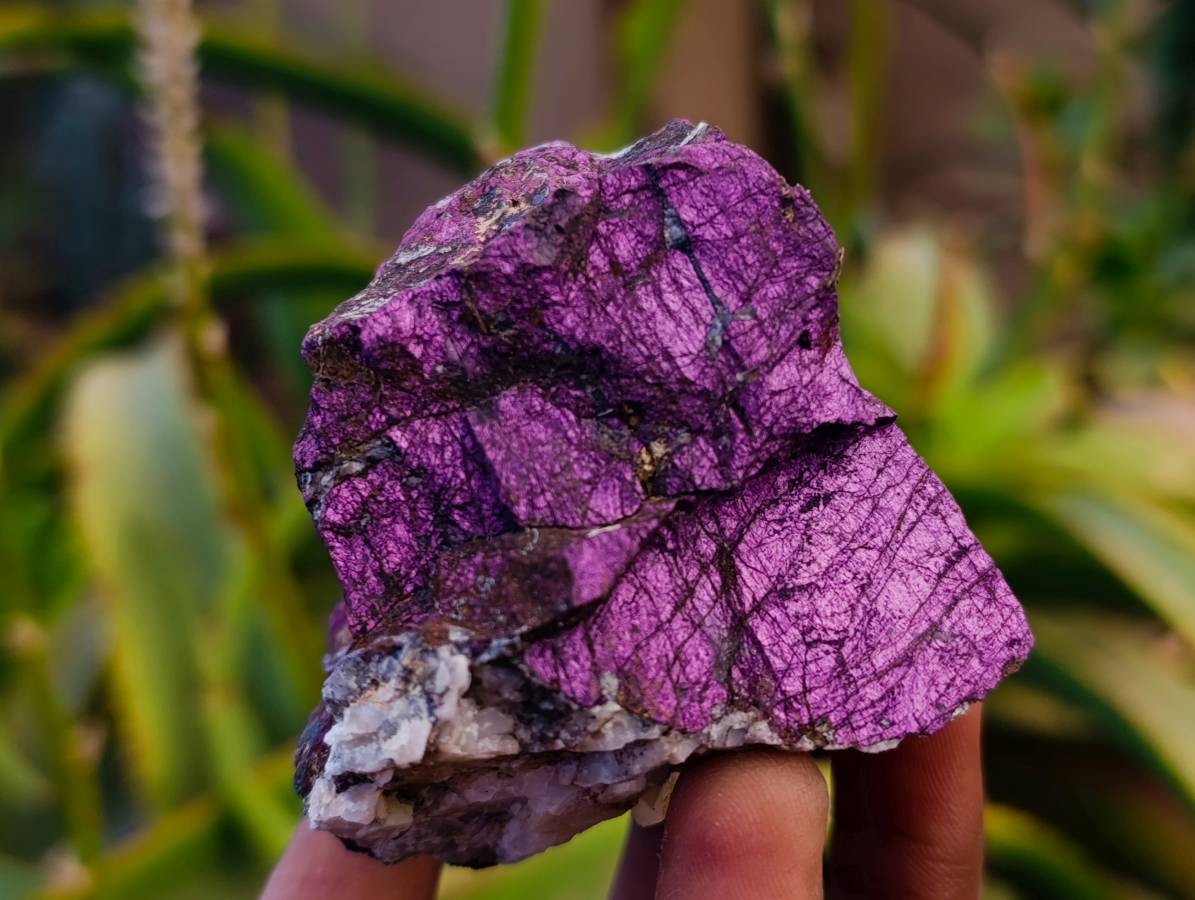 Natural Metallic Purpurite Specimens x 6 From Erongo, Namibia - Toprock Gemstones and Minerals 