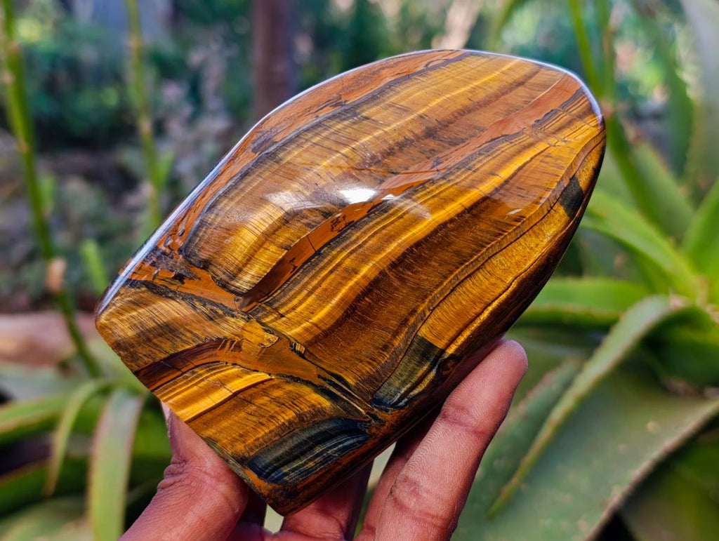 Polished Tigers Eye Standing Free Forms x 3 From South Africa - Toprock Gemstones and Minerals 