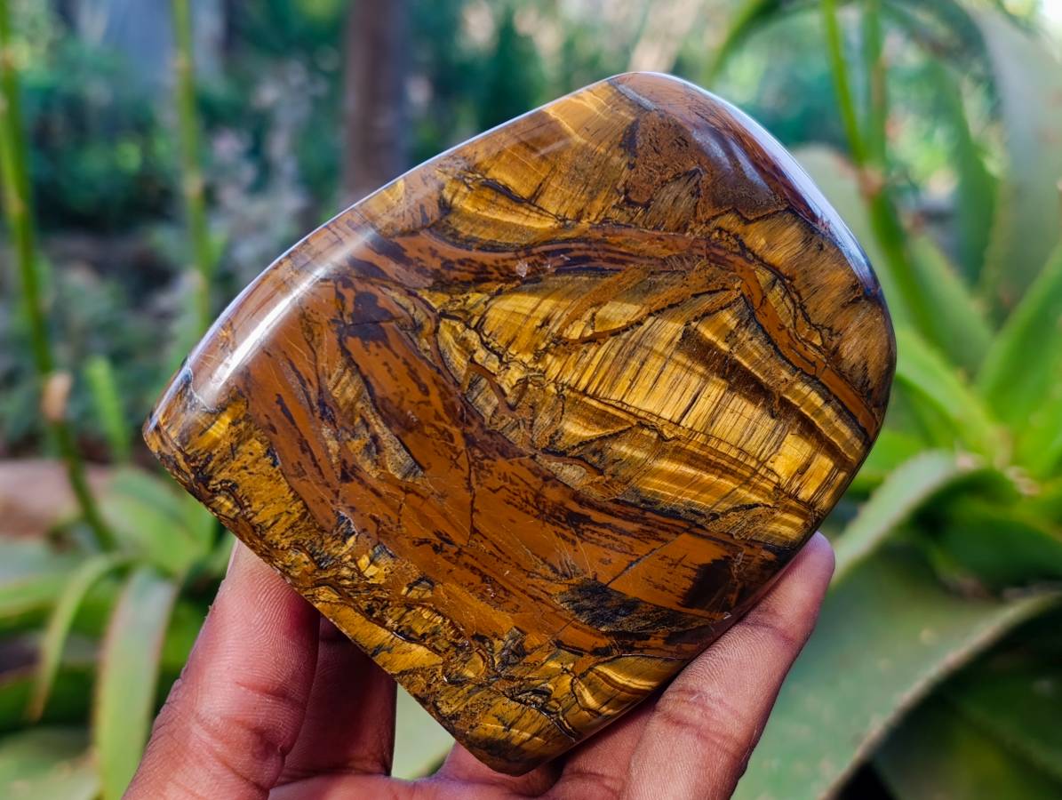 Polished Tigers Eye Standing Free Forms x 3 From South Africa - Toprock Gemstones and Minerals 