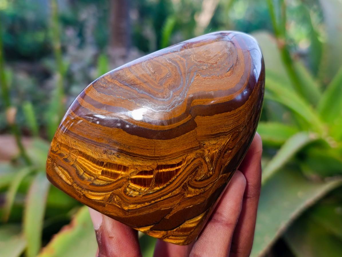 Polished Tigers Eye Standing Free Forms x 3 From South Africa - Toprock Gemstones and Minerals 