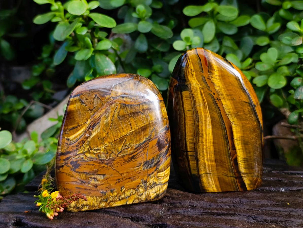 Polished Tigers Eye Standing Free Forms x 3 From South Africa - Toprock Gemstones and Minerals 