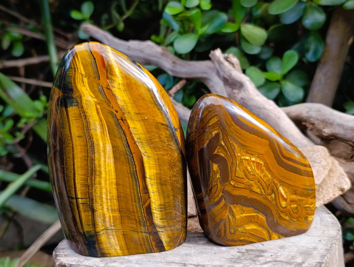 Polished Tigers Eye Standing Free Forms x 3 From South Africa - Toprock Gemstones and Minerals 