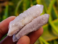 Natural Amethyst Spirit Quartz Crystals x 153 From South Africa