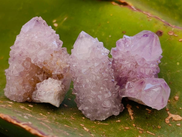 Natural Amethyst Spirit Quartz Crystals x 153 From South Africa