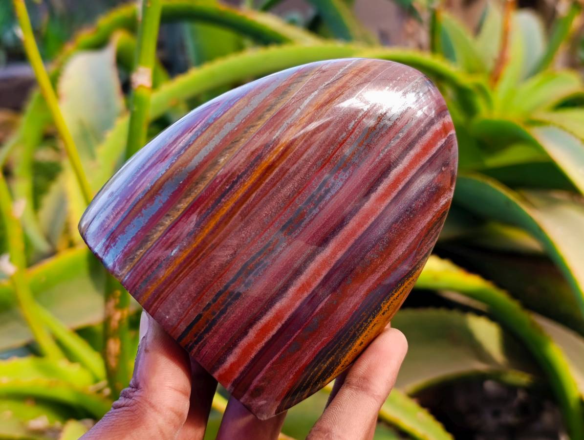 Polished Banded Tiger Iron Standing Free Forms x 2 From South Africa - Toprock Gemstones and Minerals 