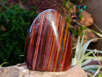 Polished Banded Tiger Iron Standing Free Forms x 2 From South Africa