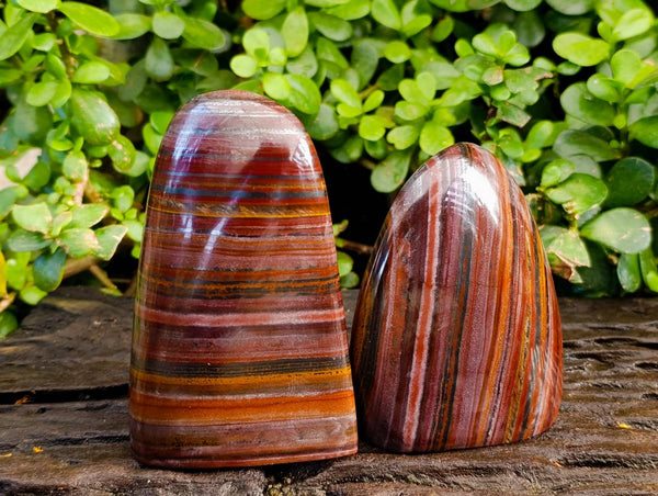 Polished Banded Tiger Iron Standing Free Forms x 2 From South Africa