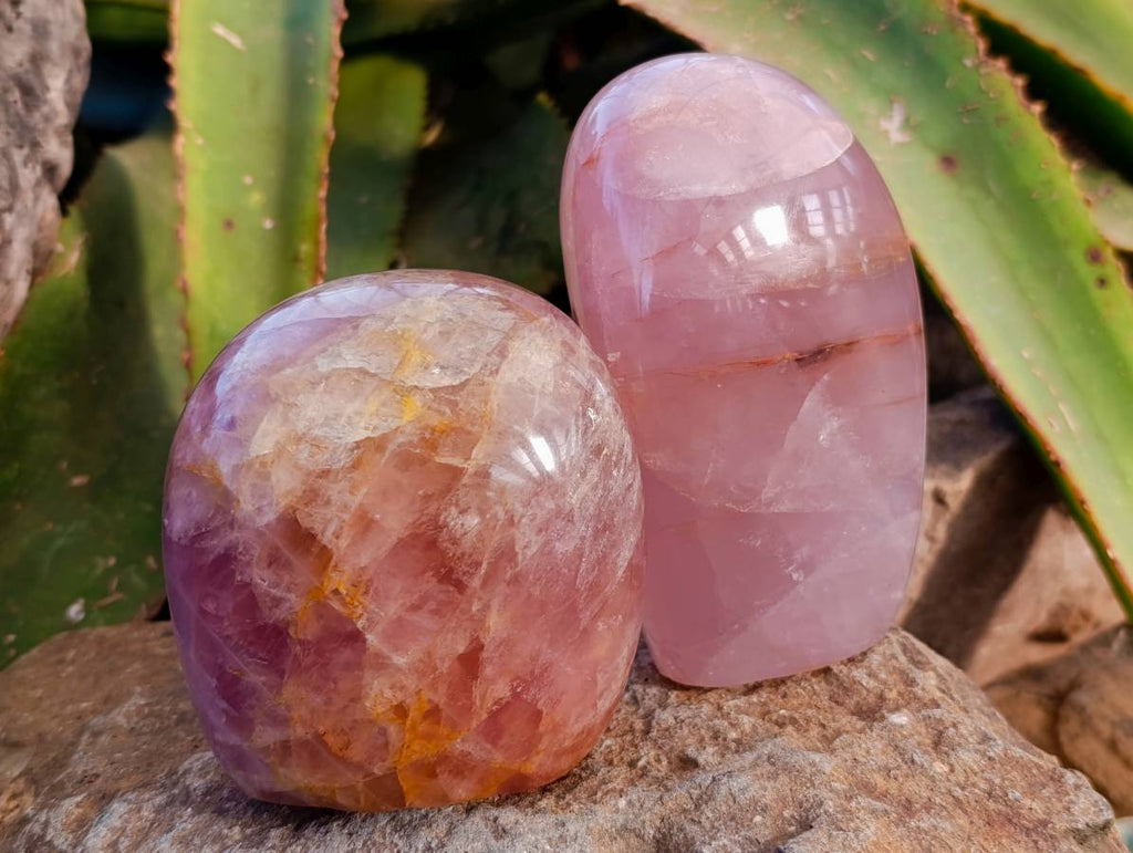 Polished Rose Quartz Standing Free Forms x 2 From Madagascar - Toprock Gemstones and Minerals 