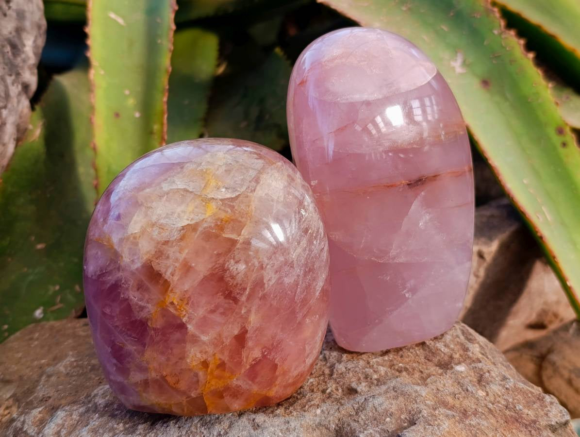 Polished Rose Quartz Standing Free Forms x 2 From Madagascar - Toprock Gemstones and Minerals 